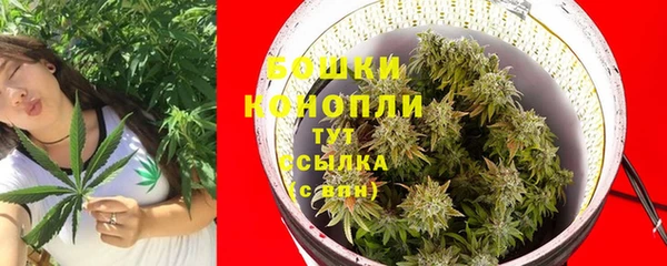 трава Белоозёрский