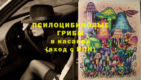 прущая мука Белокуриха